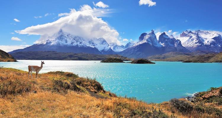 Llama by a lake with mountain peaks under a bright blue sky.