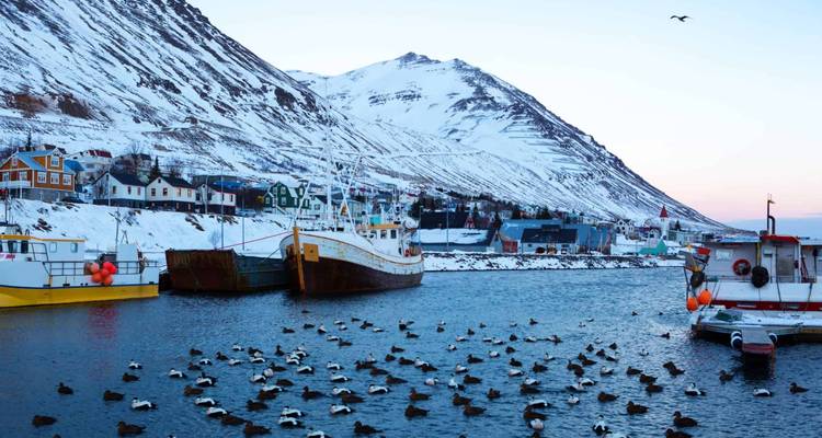 Circuit guidé de 9 jours | Islande complète - Édition aurores boréales - Iceland Travel 10