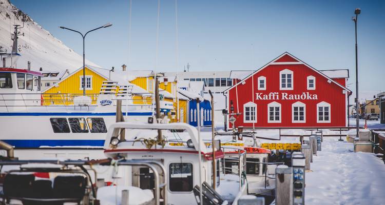 Circuit guidé de 9 jours | Islande complète - Édition aurores boréales - Iceland Travel 8