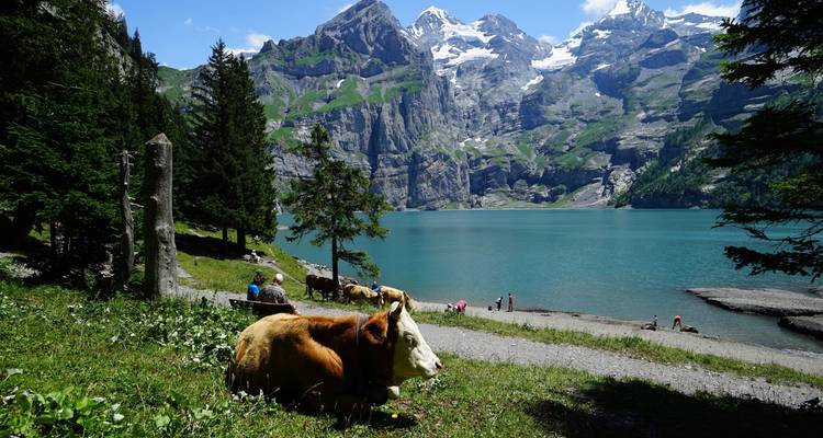 Promenade classique dans les Alpes suisses - Exodus Adventure Travels 10