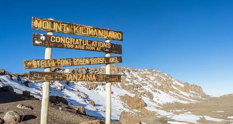 Climb Kilimanjaro: 8 Days Lemosho Route - Altezza Travel 8