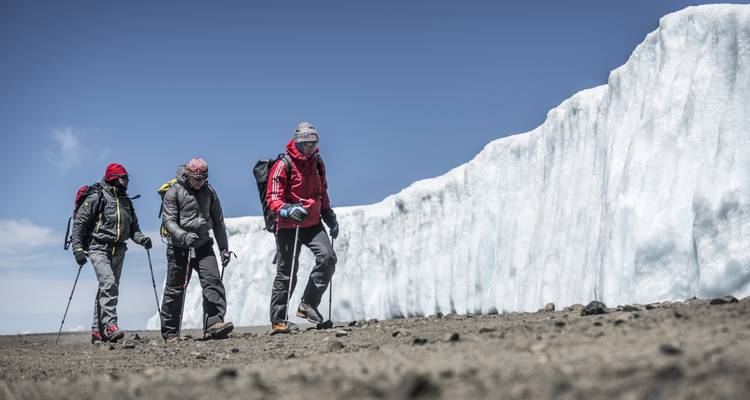 Climb Kilimanjaro: 8 Days Lemosho Route - Altezza Travel 4