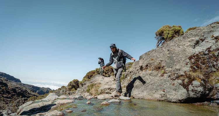 Climb Kilimanjaro: 8 Days Lemosho Route - Altezza Travel 2