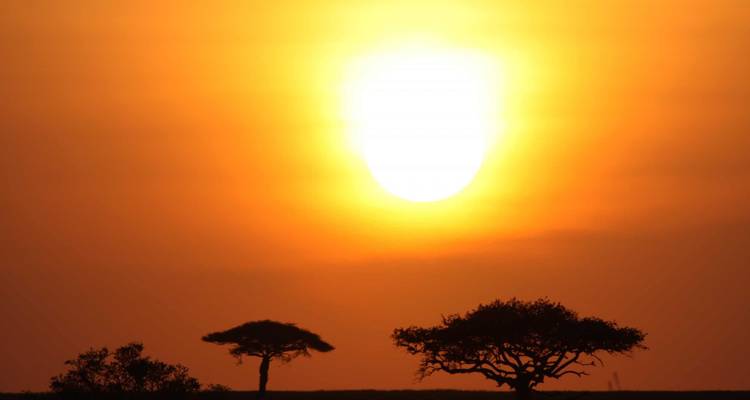 El safari definitivo - Viva Africa Tours 3