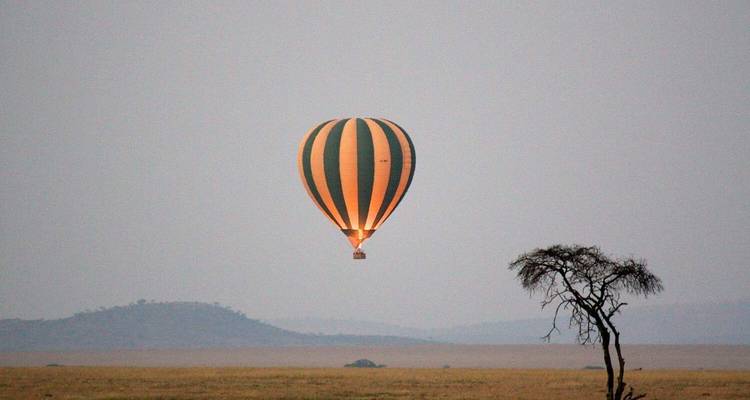 El safari definitivo - Viva Africa Tours 4