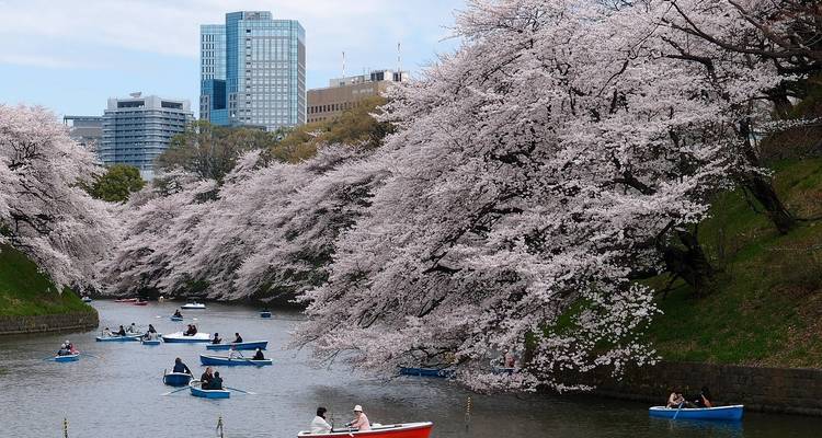Le Japon intemporel - Cosmos 1