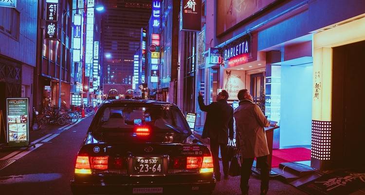 Le Japon intemporel - Cosmos 8