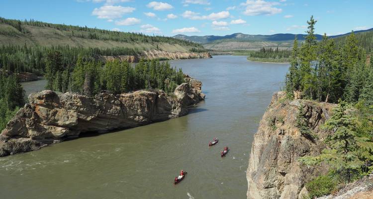 Gold Rush Tour: Discover the Land of the Midnight Sun - Ruby Range Adventure 7