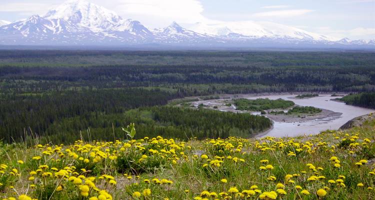 Exploration du Yukon et de l'Alaska - Ruby Range Adventure 4