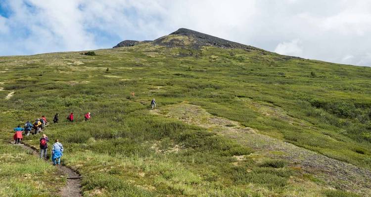 Le meilleur du Yukon et de l'Alaska - de/à Anchorage - Ruby Range Adventure 1