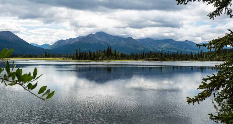 Northern Coast Mountains: Sightseeing Tour from Whitehorse to Anchorage - Ruby Range Adventure 6