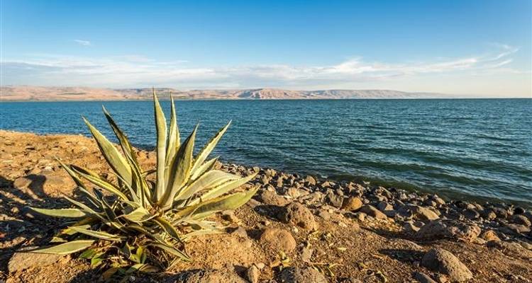 5 jours en Israël - Booking Tours 7