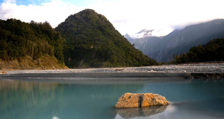 Voyageur du Sud - Wild Kiwi 2