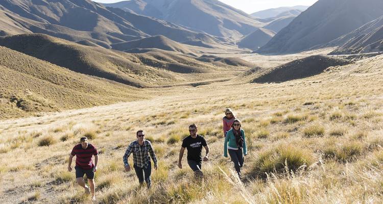 New Zealand Discovery Tour - Wild Kiwi 10
