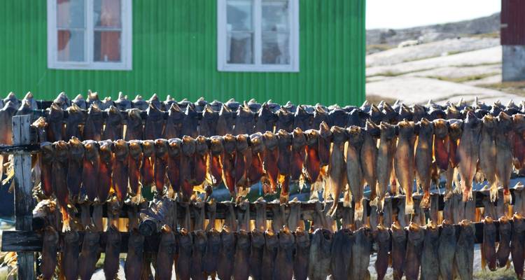 Découverte de l'Islande et du Groenland - 15 jours - GJ Travel 10