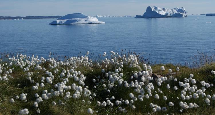 Amazing Days in Ilulissat - 5 Days - GJ Travel 4
