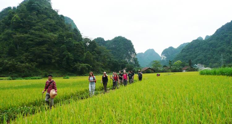Vietnam Specifically the North - Threeland Travel 9