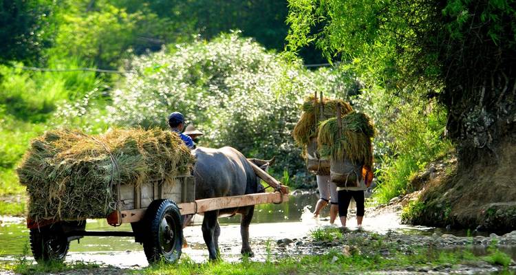 Vietnam Specifically the North - Threeland Travel 4