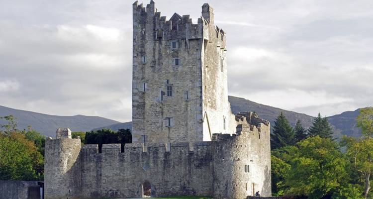 Wild South - Multi-Day - Small Group Tour of Ireland - Wild N' Happy 9