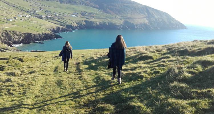 Wild South - Multi-Day - Small Group Tour of Ireland - Wild N' Happy 3