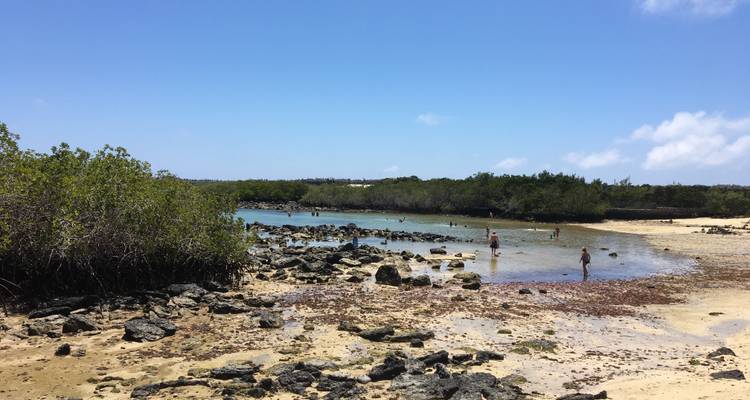 4-Day Galapagos Island Hopping - Rebecca Adventure Travel 4