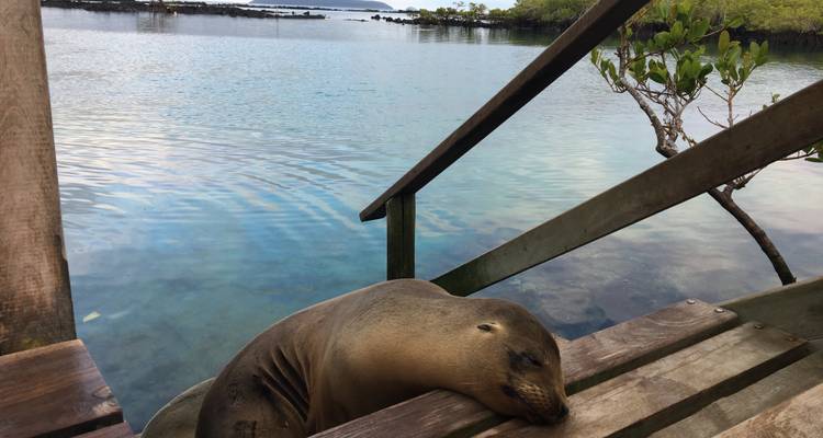 4-Day Galapagos Island Hopping - Rebecca Adventure Travel 3