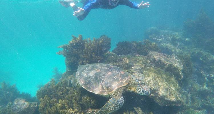 5 jours de luxe aux Galapagos - Rebecca Adventure Travel 1