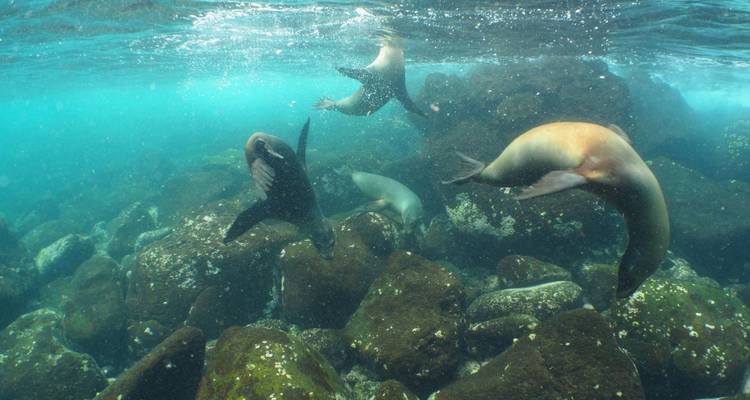 5 jours de luxe aux Galapagos - Rebecca Adventure Travel 3