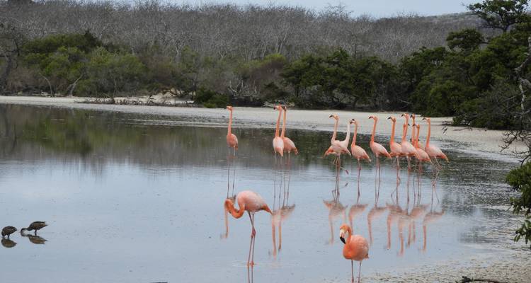 5 jours de luxe aux Galapagos - Rebecca Adventure Travel 4