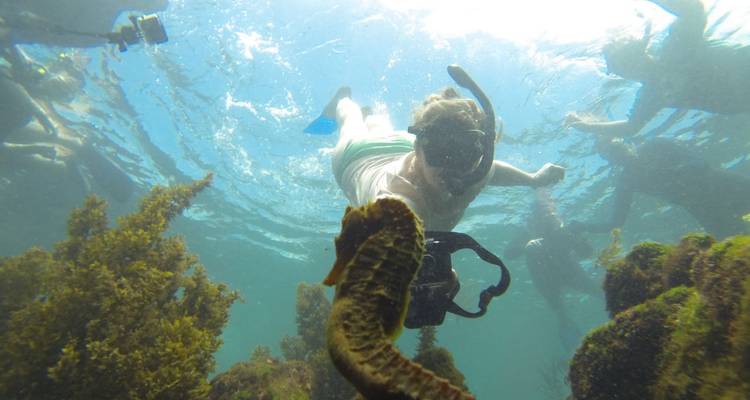 5 jours de luxe aux Galapagos - Rebecca Adventure Travel 6