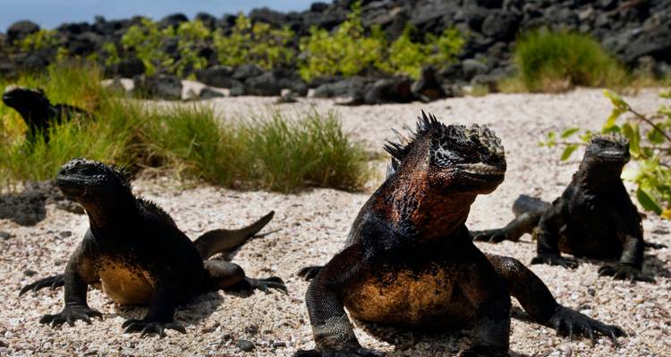 5 jours de luxe aux Galapagos - Rebecca Adventure Travel 7