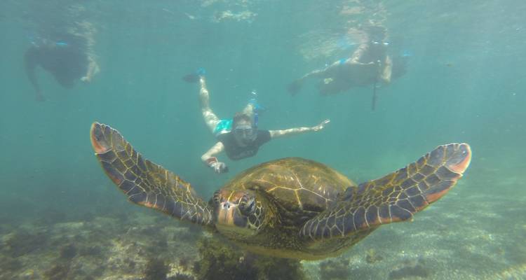 5 jours de luxe aux Galapagos - Rebecca Adventure Travel 8