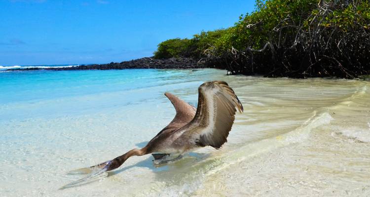 Expédition de 12 jours aux Galápagos - Rebecca Adventure Travel 3
