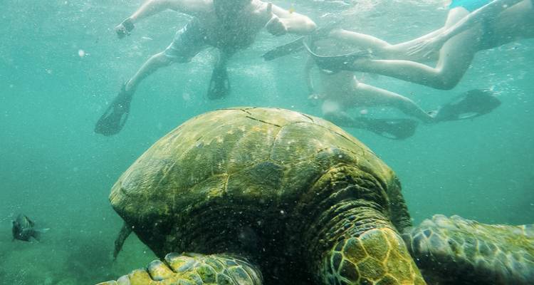 Expédition de 12 jours aux Galápagos - Rebecca Adventure Travel 7