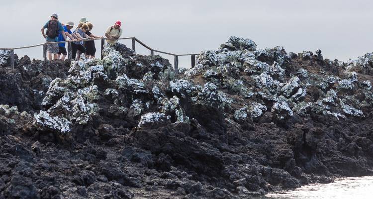 Expédition de 12 jours aux Galápagos - Rebecca Adventure Travel 8
