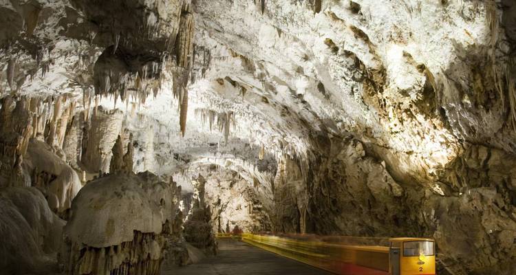 Ondergrondse weergave van stalactieten en de grottreintje in de Postojna Grot.