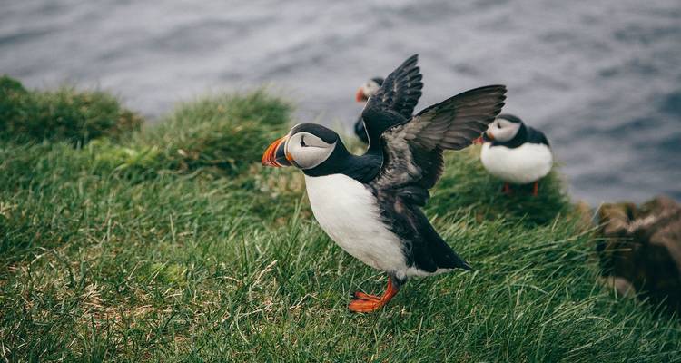 Una semana de campamento en Islandia - Intrepid Travel 4