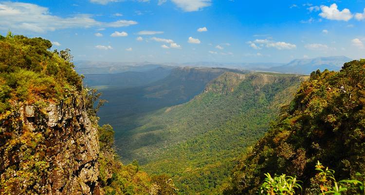 Explorador del Parque Kruger - Cullinan Guided Journeys 4