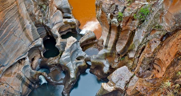 Explorador del Parque Kruger - Cullinan Guided Journeys 1