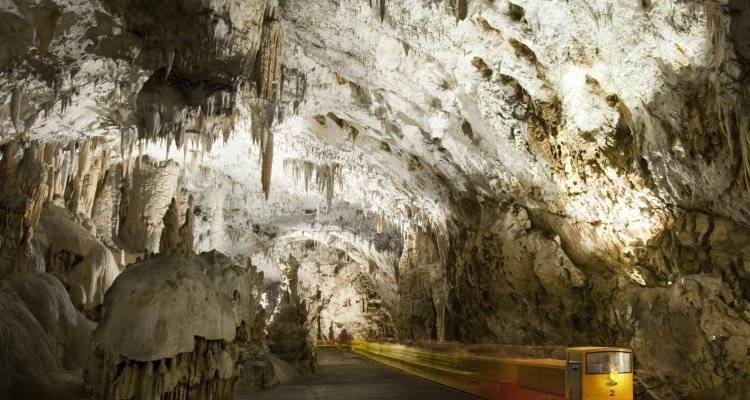 The Best of Austria,Slovenia and Croatia 9 days Tour  from Venice - Nature Trips 1