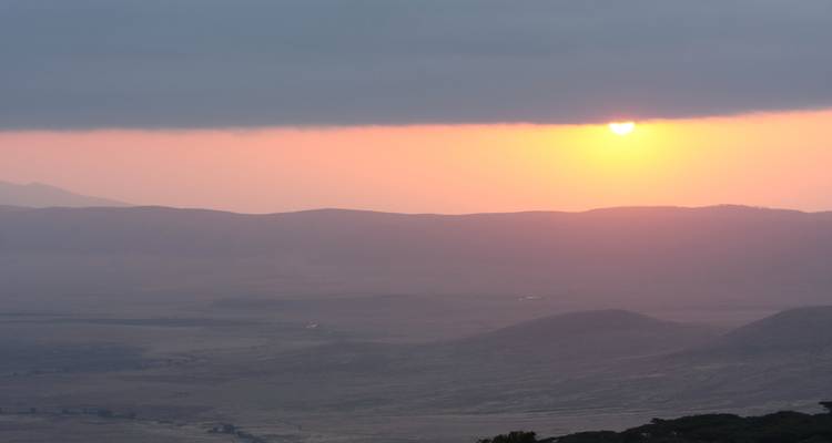 5 jours de safari animalier - Sed Adventures Tours and Safaris 1