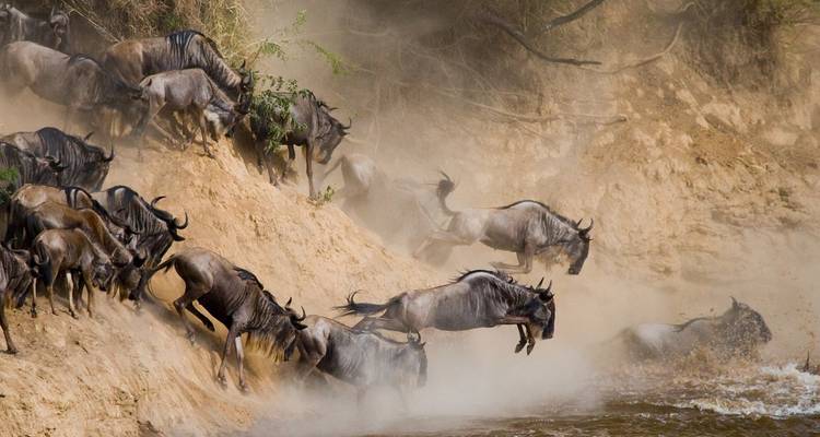5 jours de safari animalier - Sed Adventures Tours and Safaris 2