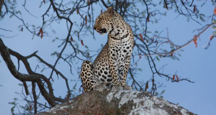 8 jours de safari dans le nord de la Tanzanie - Sed Adventures Tours and Safaris 4