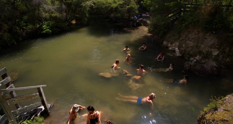 People relaxing in a natural hot spring surrounded by trees.