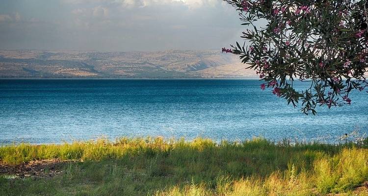 Por todo Israel, Jordania y Egipto 20 días - Booking Tours 8