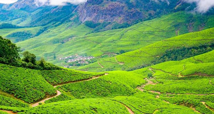 Kerala de lujo - 8 días - GeTS Holidays 1