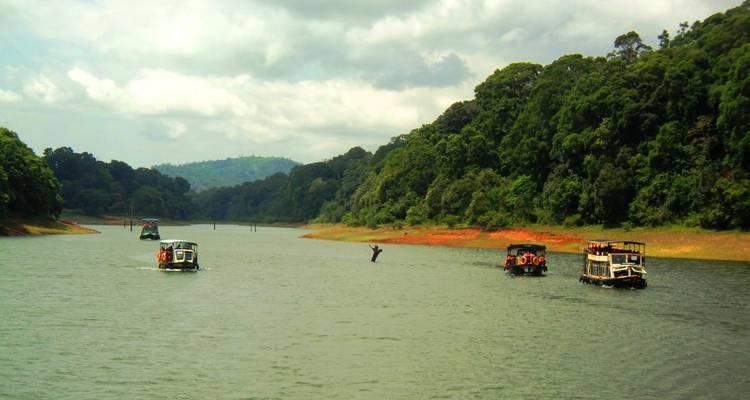 Kerala de lujo - 8 días - GeTS Holidays 7