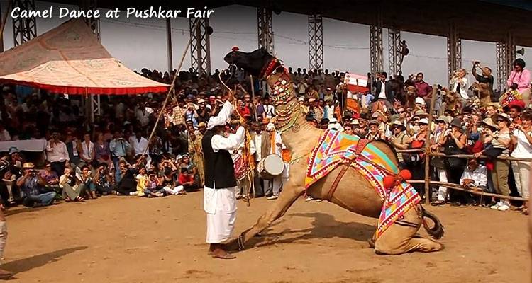 L'essence du Rajasthan pendant la foire de Pushkar (27 octobre - 7 novembre 2025) - GeTS Holidays 1