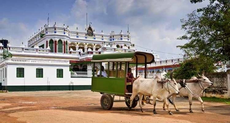 L'essence du Rajasthan pendant la foire de Pushkar (27 octobre - 7 novembre 2025) - GeTS Holidays 8