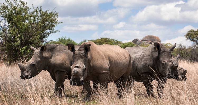 Viajes: El safari definitivo por el sur de África National Geographic Journeys - National Geographic Journeys with G Adventures 6